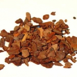 Pine Bark, White 1 Oz. (Pinus strobus)